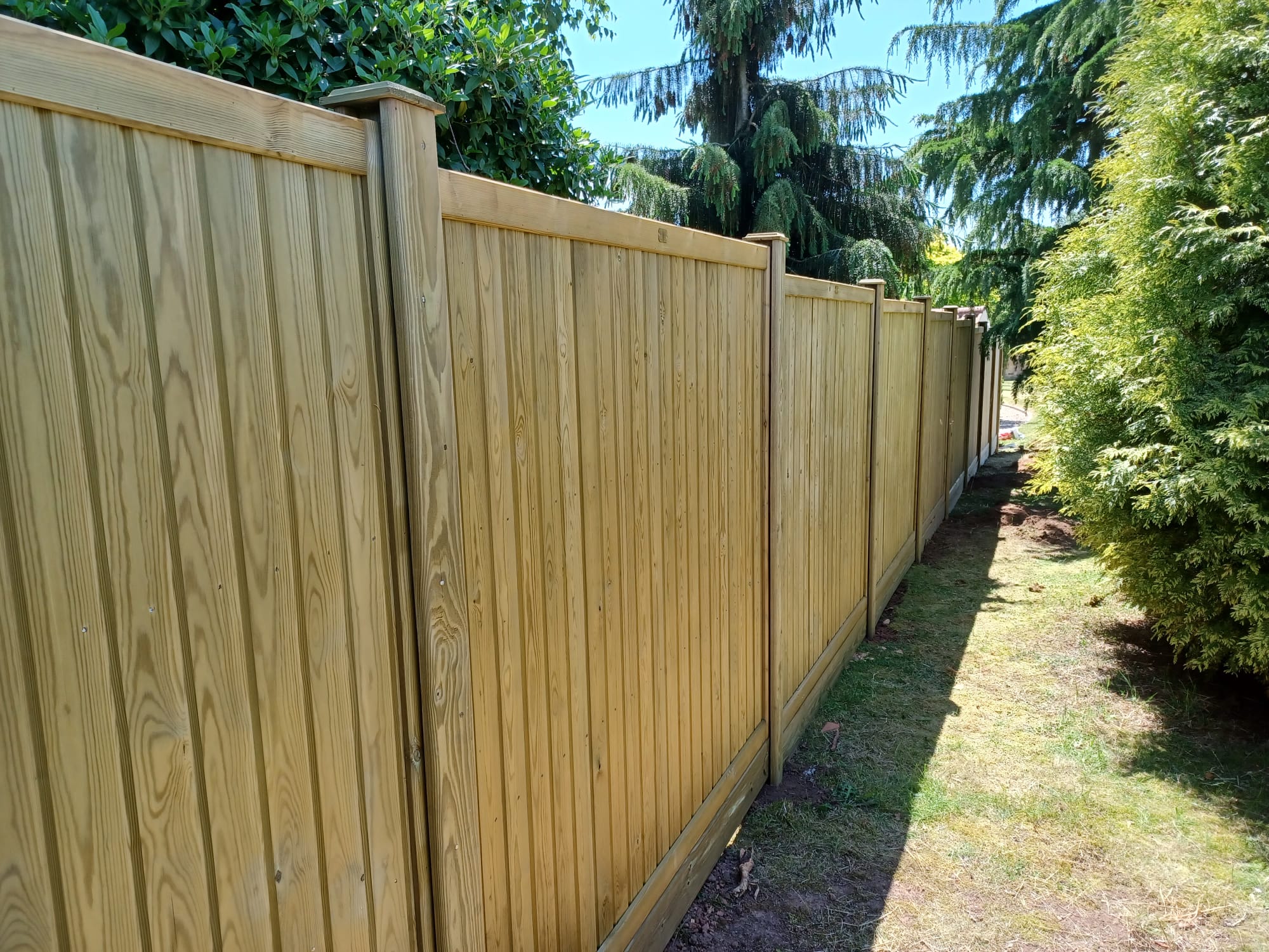 Abbey maintenance Fencing